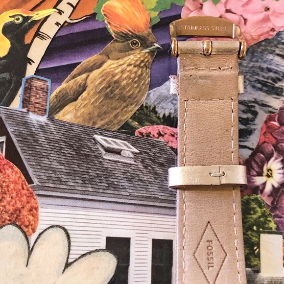 Topographer 3-Hand Date Rose Gold  Polyurethane Fossil Watch - Picture 5 of 11